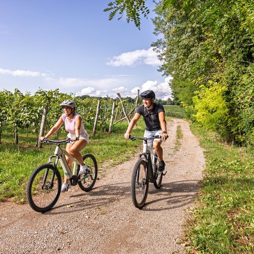 E-Bike Vineyard Ritual